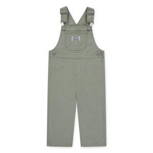 Levi's Baby Boys' Twill Denim Overalls - Seagrass