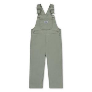 Levi's Toddler Boys' Twill Denim Overalls - Seagrass