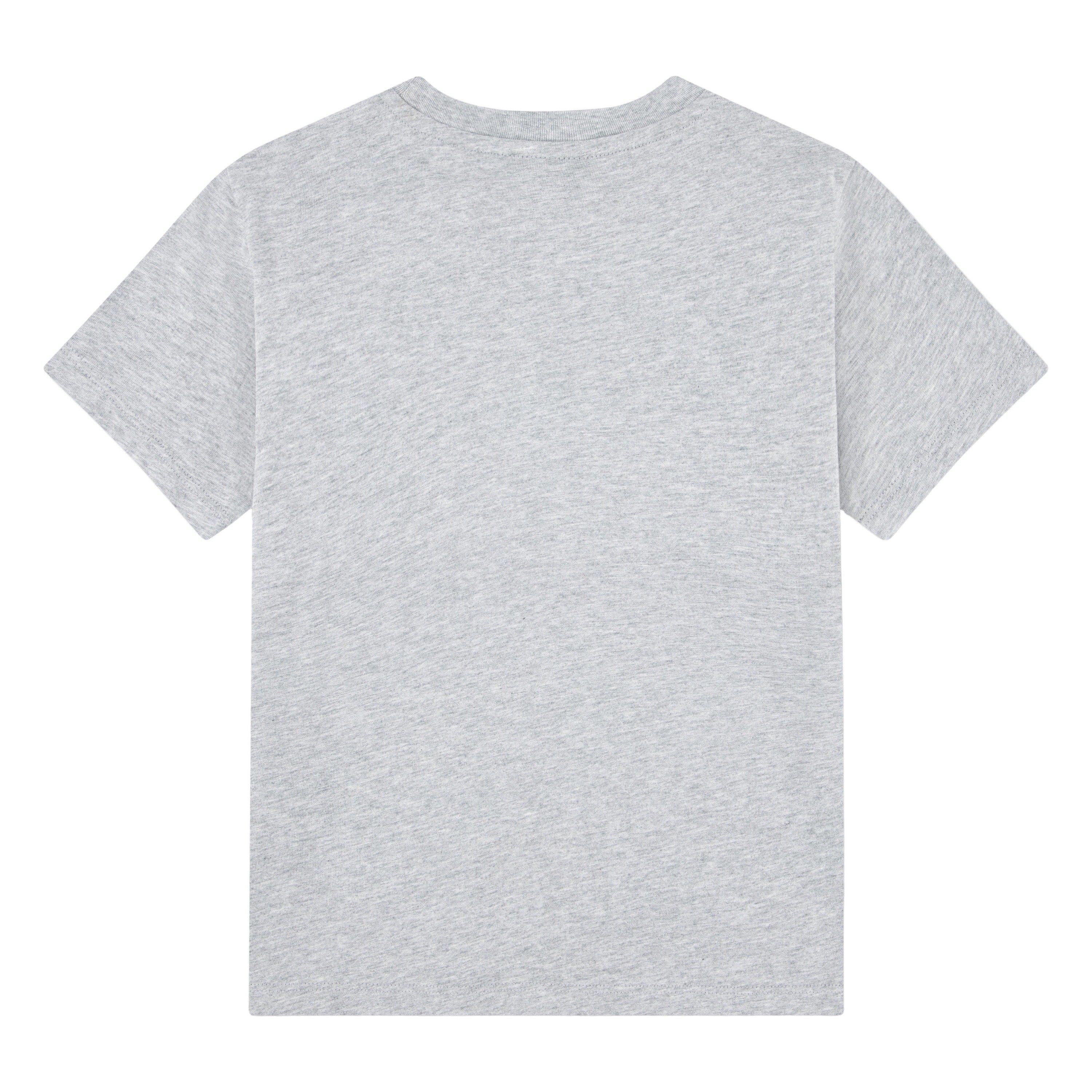 Lacoste Core Big Boys' Grey Tee