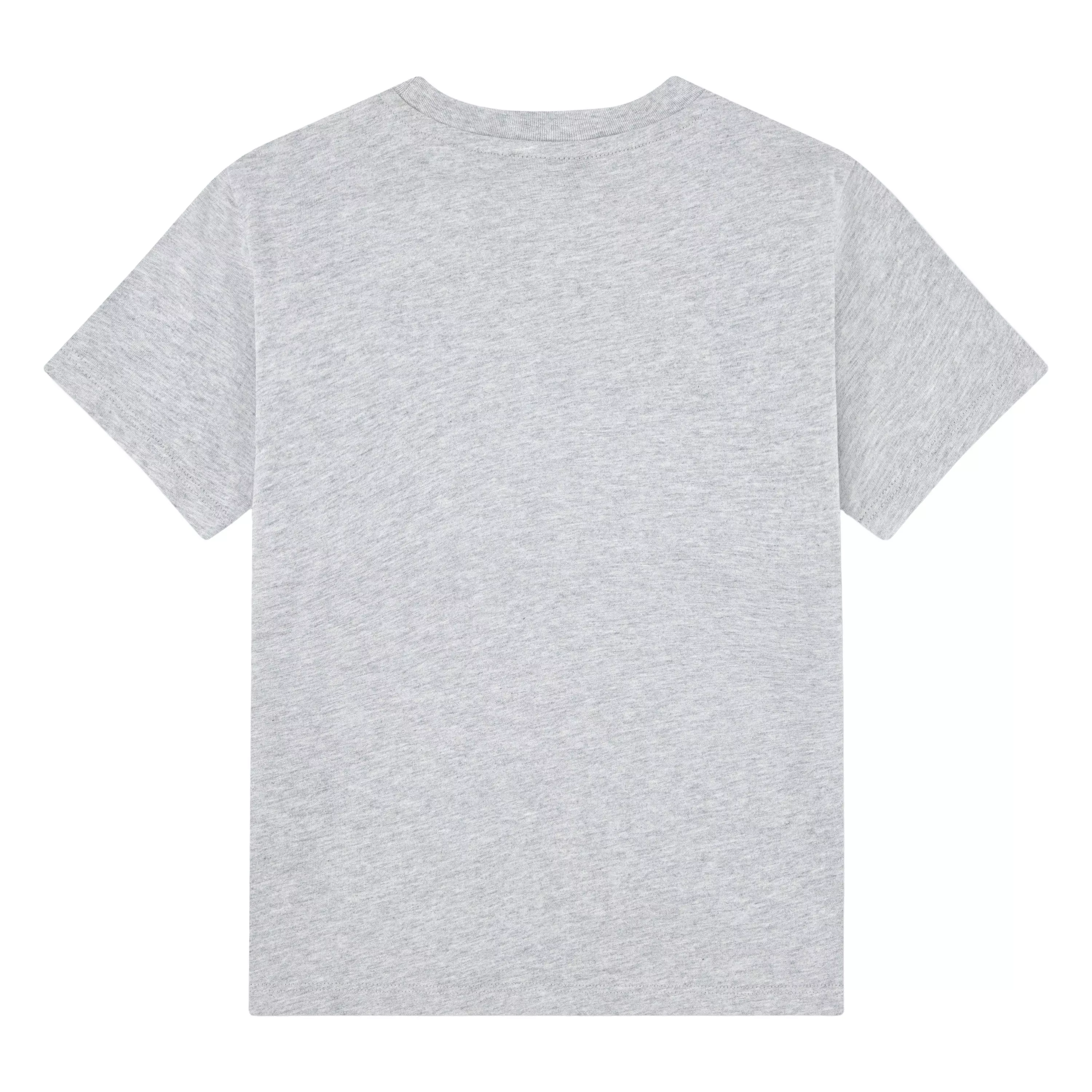Lacoste Big Boys' Core Tee-Grey - GREY