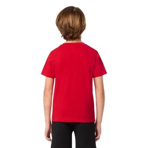 Lacoste Big Boys' Core Tee-Red