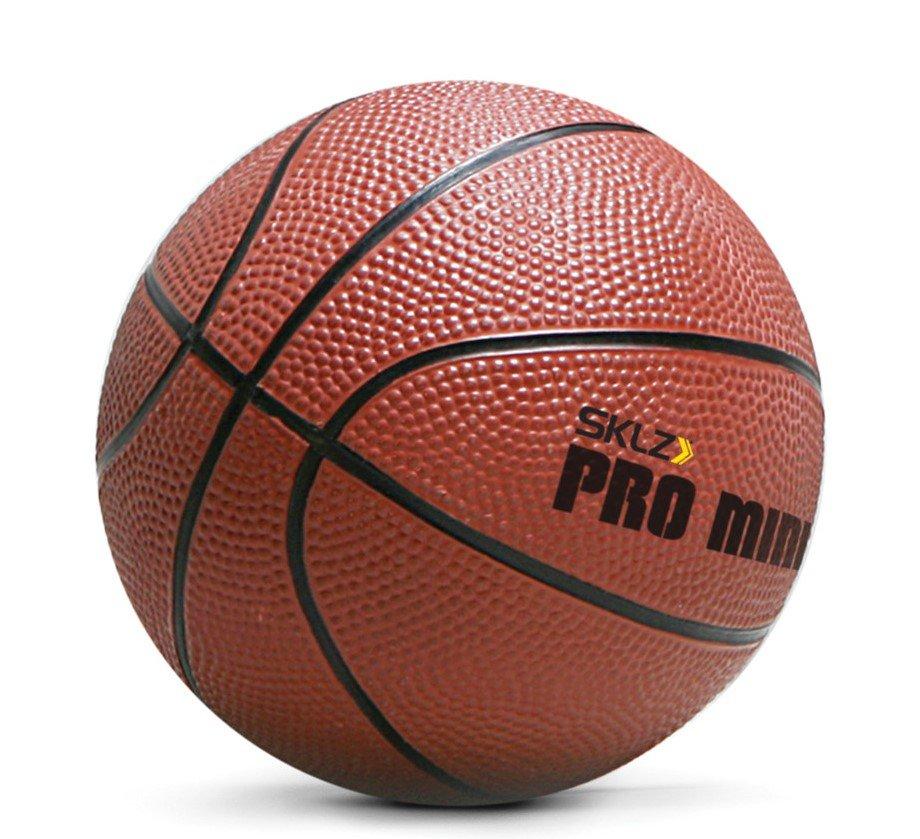 SKLZ Pro Mini XL Mounting Basketball Hoop