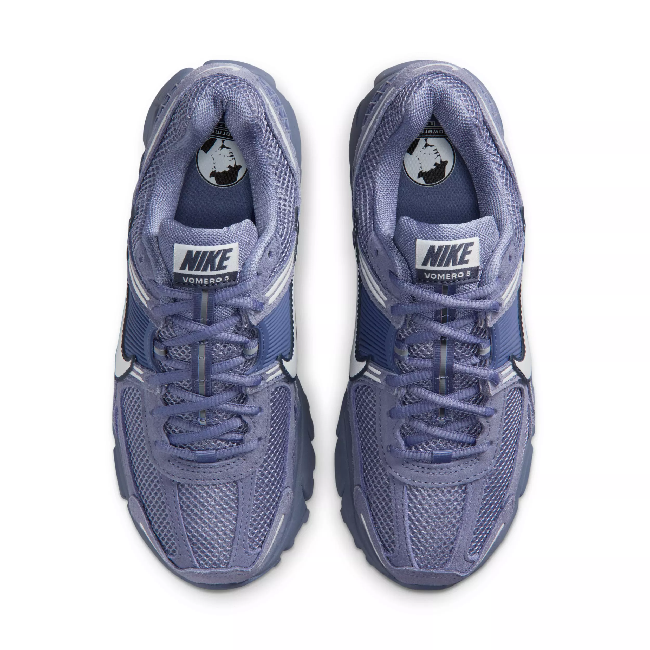 Nike Zoom Vomero 5 "World Indigo/Sanded Purple/Football Grey" Women's Shoe - INDIGO/PURPLE/GREY