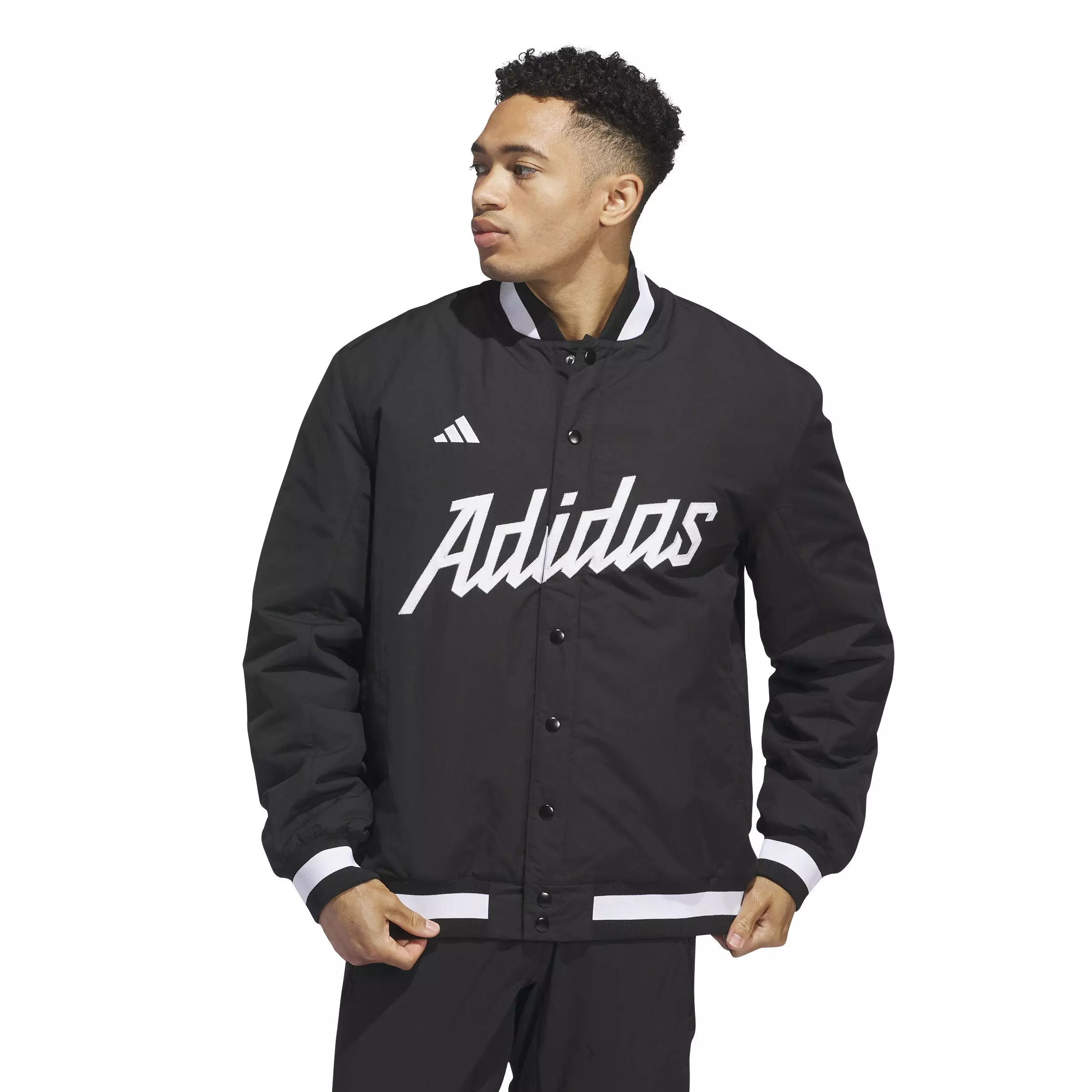 adidas Men's Dugout Coaches Jacket-Black - BLACK