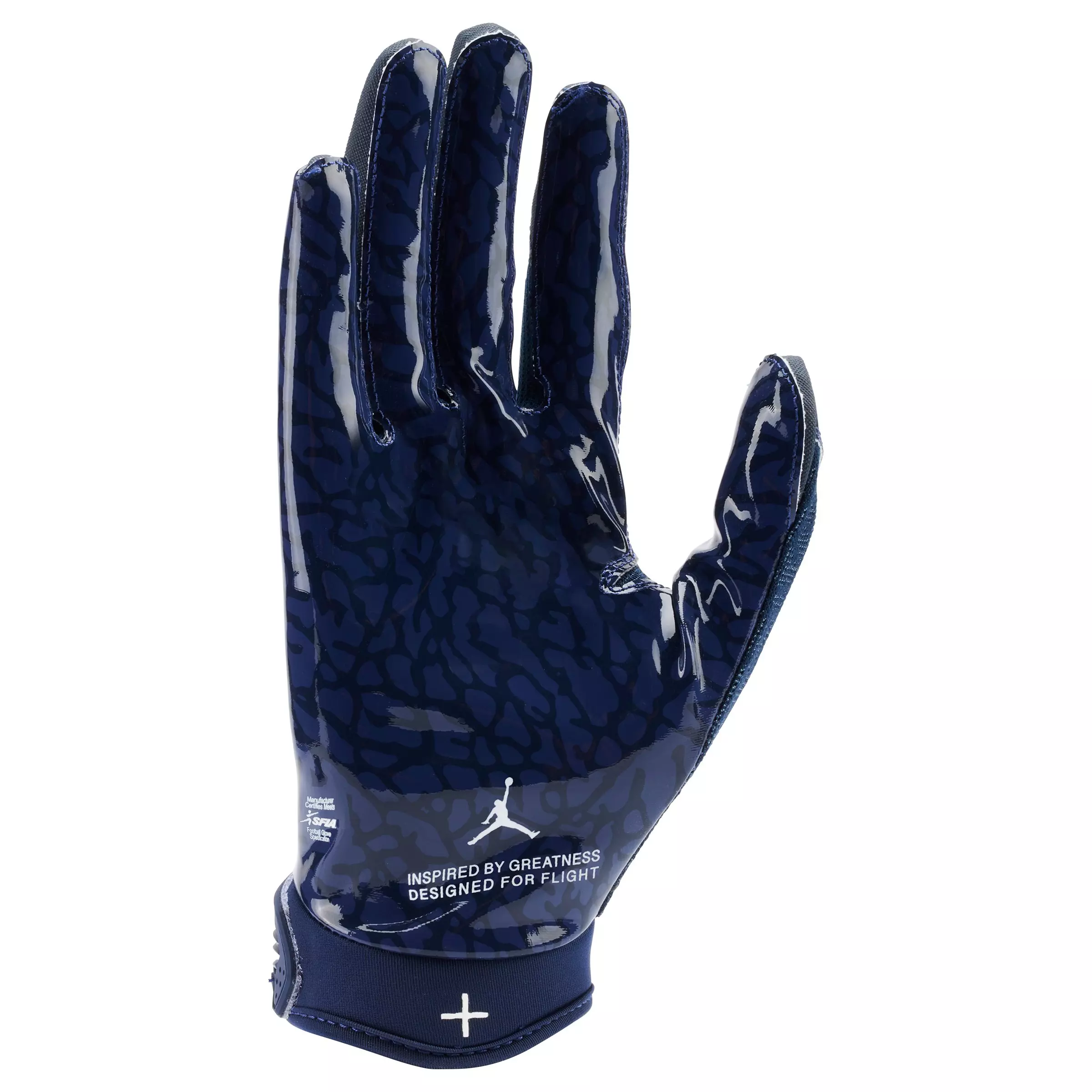 Jordan Fly Lock Adult Football Glove - NAVY/WHITE