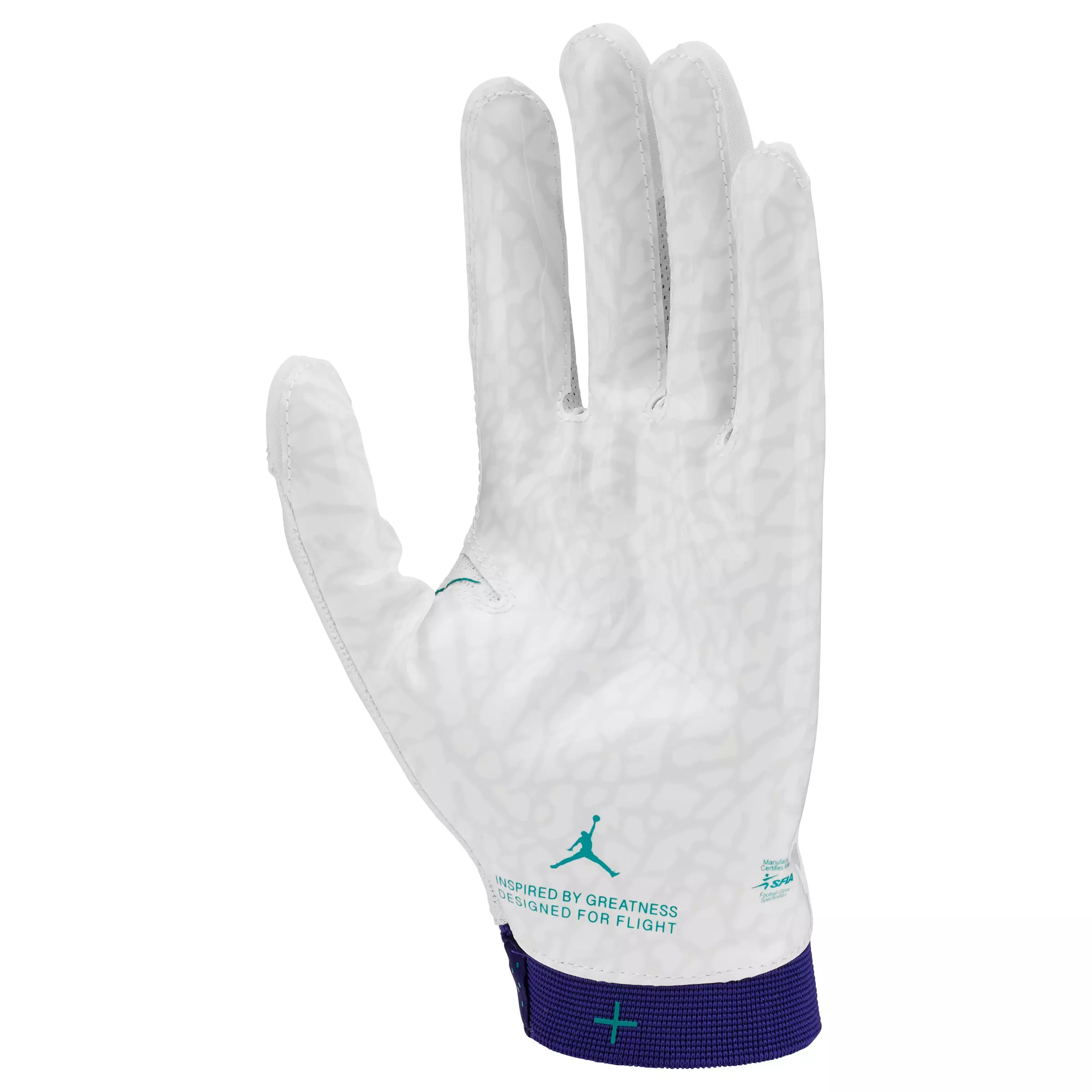 Jordan Fly Adult Football Glove - PURPLE/WHITE/TEAL