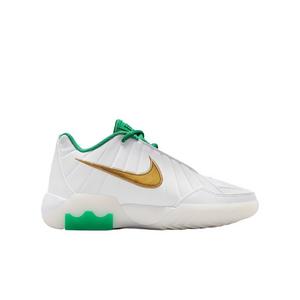 Nike LeBron Witness 9 "White/White/Metallic Gold/Stadium Green" Grade School Boys' Basketball Shoe