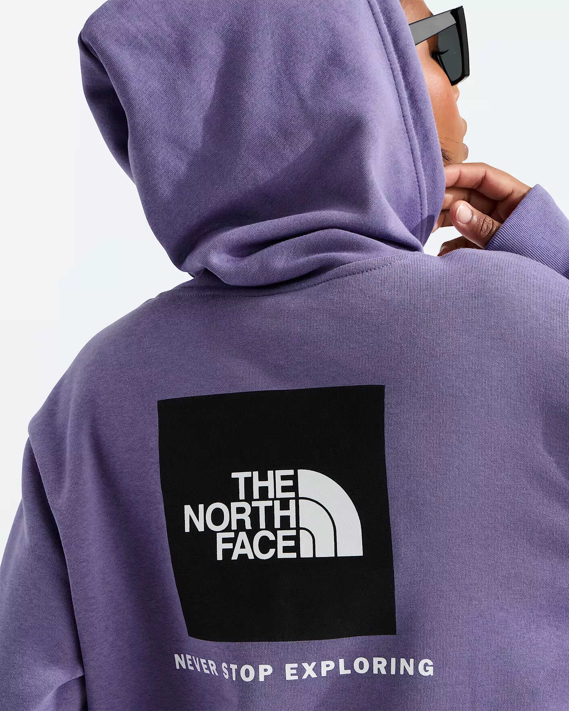 The North Face Women's Evolution Box NSE Regular Hoodie - Plum - PLUM