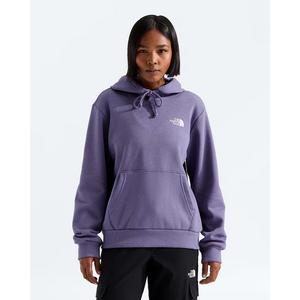 The North Face Women's Evolution Box NSE Regular Hoodie - Plum - PLUM