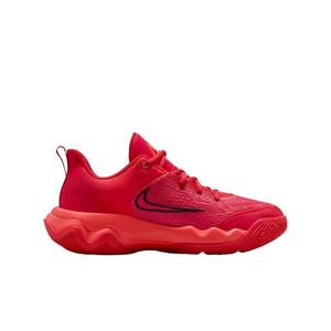 Nike Giannis Immortality 4 "Red/Light Crimson/Gym Red/Crimson" Grade School Boys' Basketball Shoe
