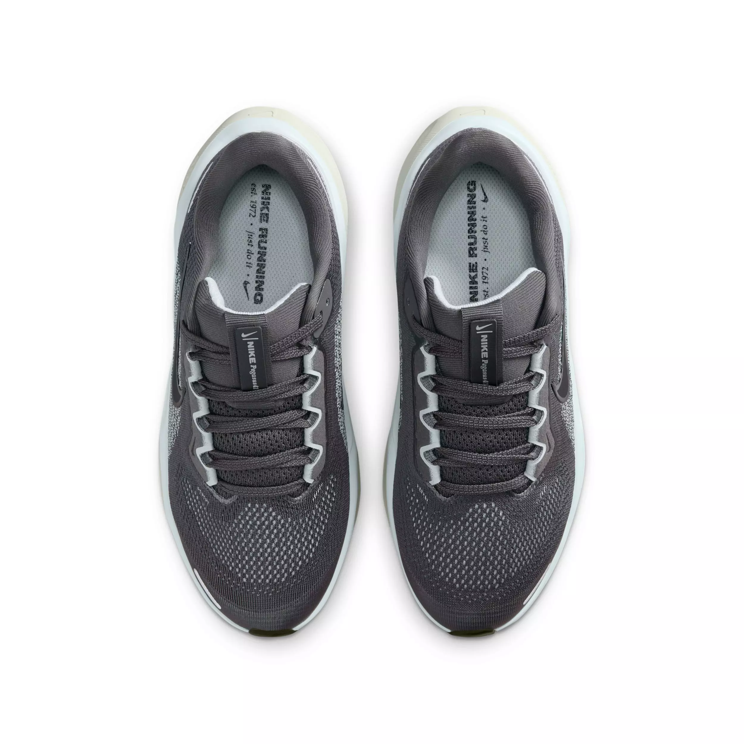 Nike Pegasus 41 "Medium Ash/Pure Platinum/Pale Ivory/Black" Preschool Boys' Running Shoe - MD ASH/PLATINUM/IVORY/BLACK