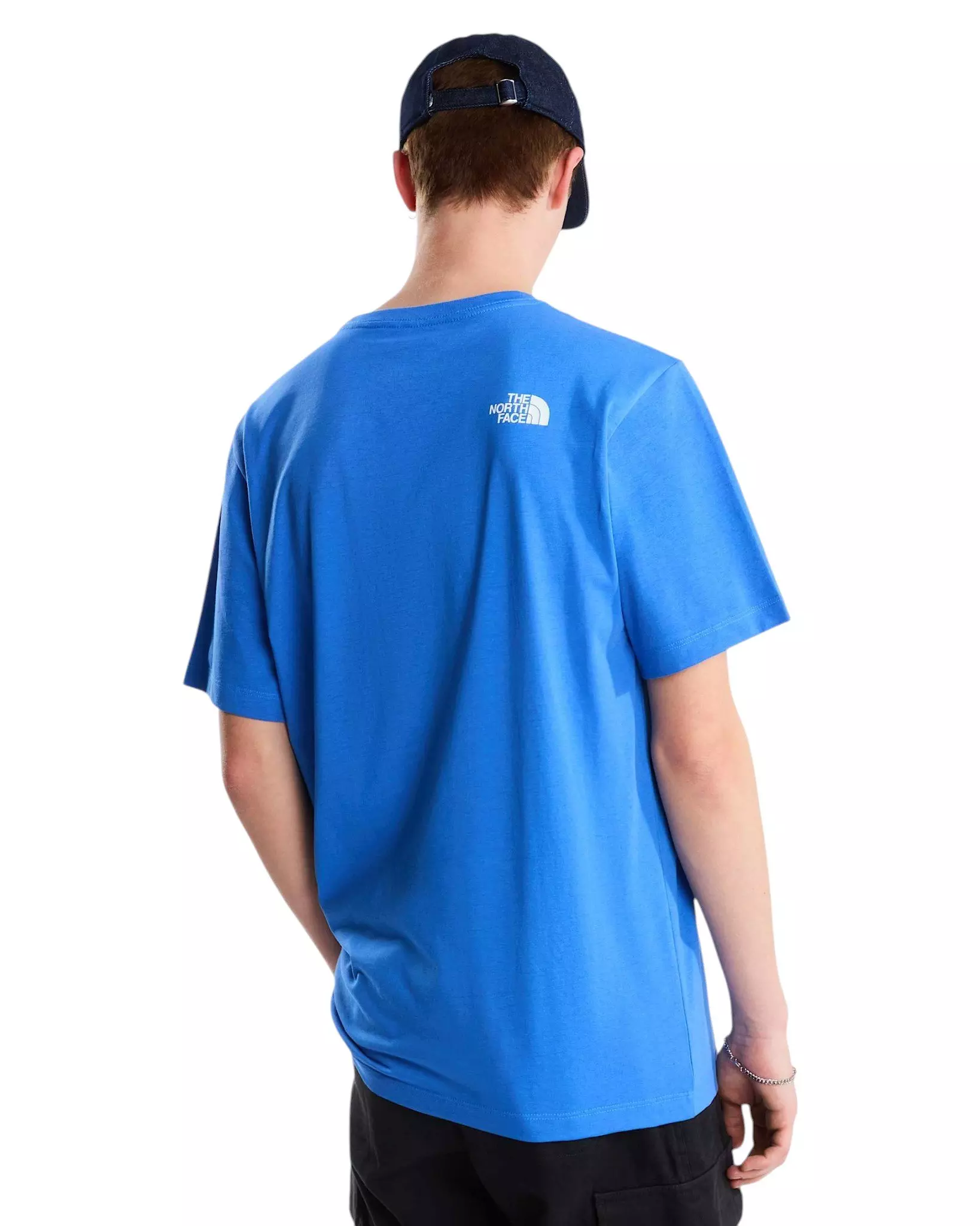 The North Face Men's Evolution Half Dome Regular T-Shirt - Blue - BLUE