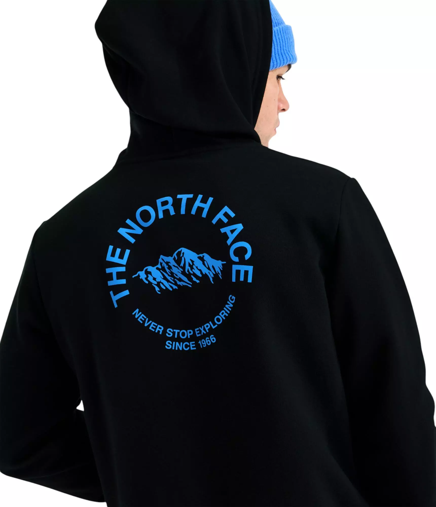 The North Face Men's Evolution NSE Regular Hoodie - Black - BLACK