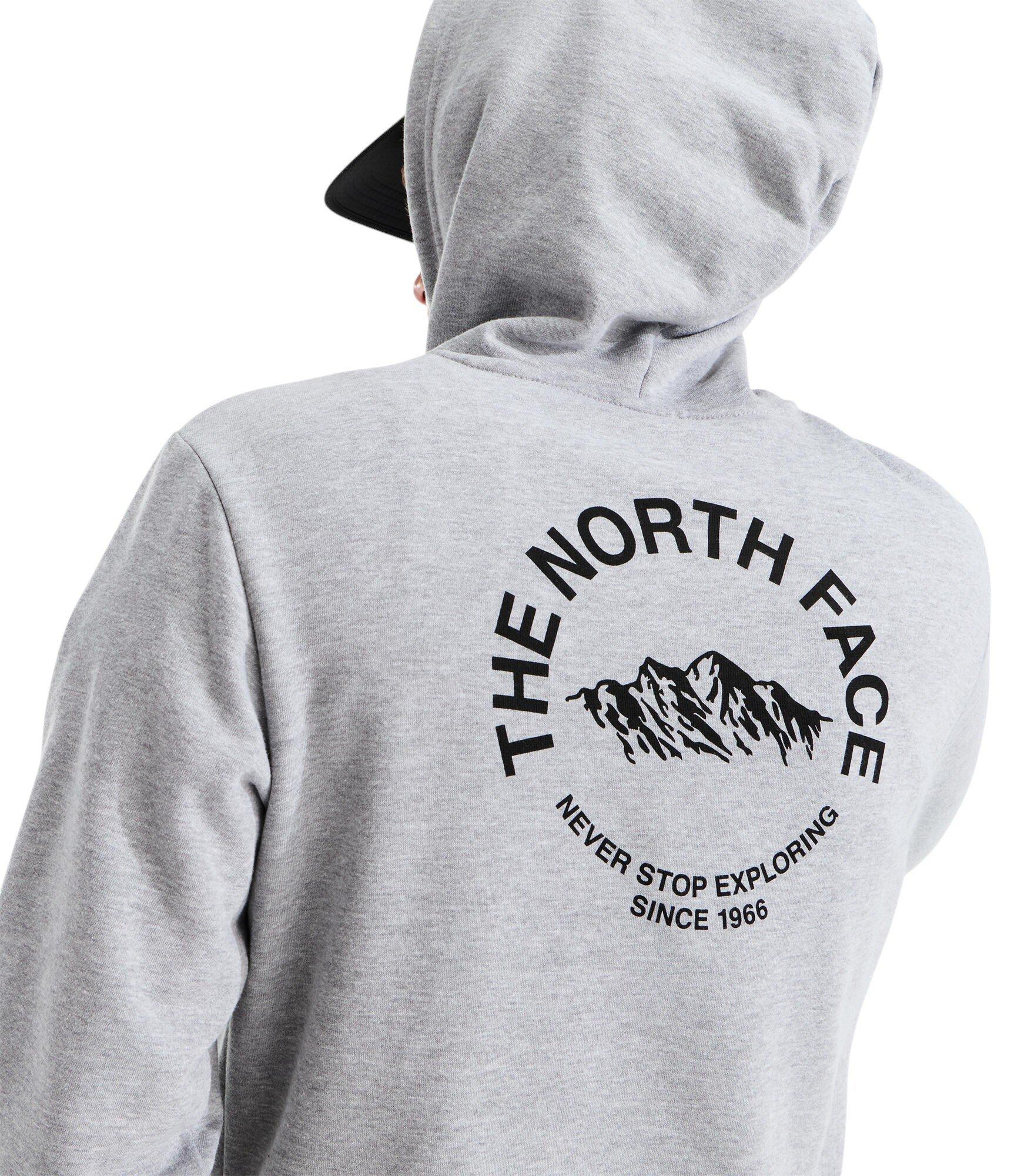 The North Face Men's Evolution NSE Regular Hoodie - Grey - GREY