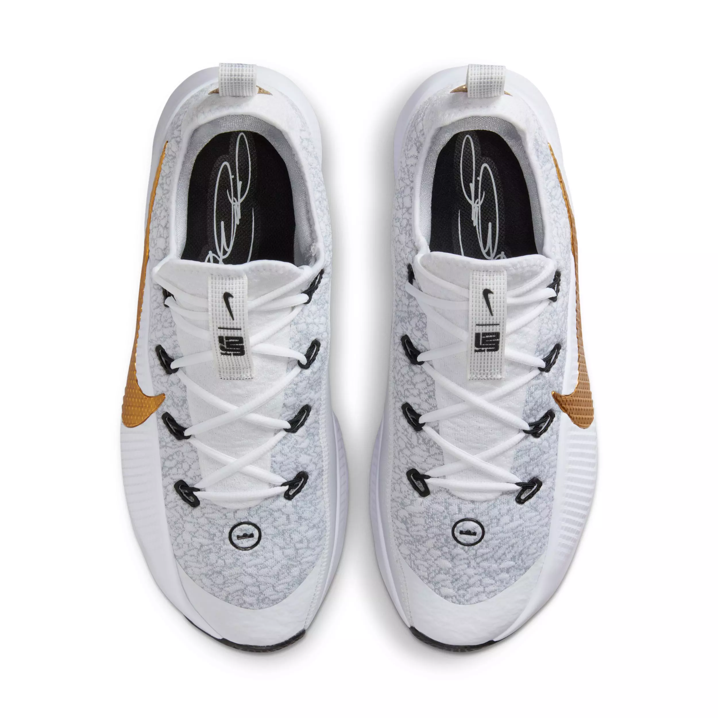 Nike LeBron TR 1 "Wolf Grey/White/Bronze/Metallic Gold" Men's Workout Shoe - GREY/WHITE/BRONZE/GOLD