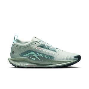 Nike Pegasus Trail 5 GORE-TEX "Light Silver/Clay Green/Mint Foam/Seaweed" Men's Trail Running Shoe