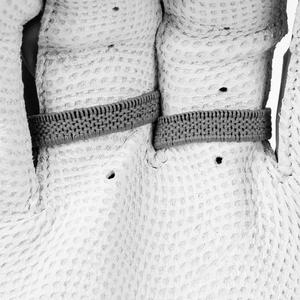 Franklin Sports PRT Protective Hand Guard LG - Grey