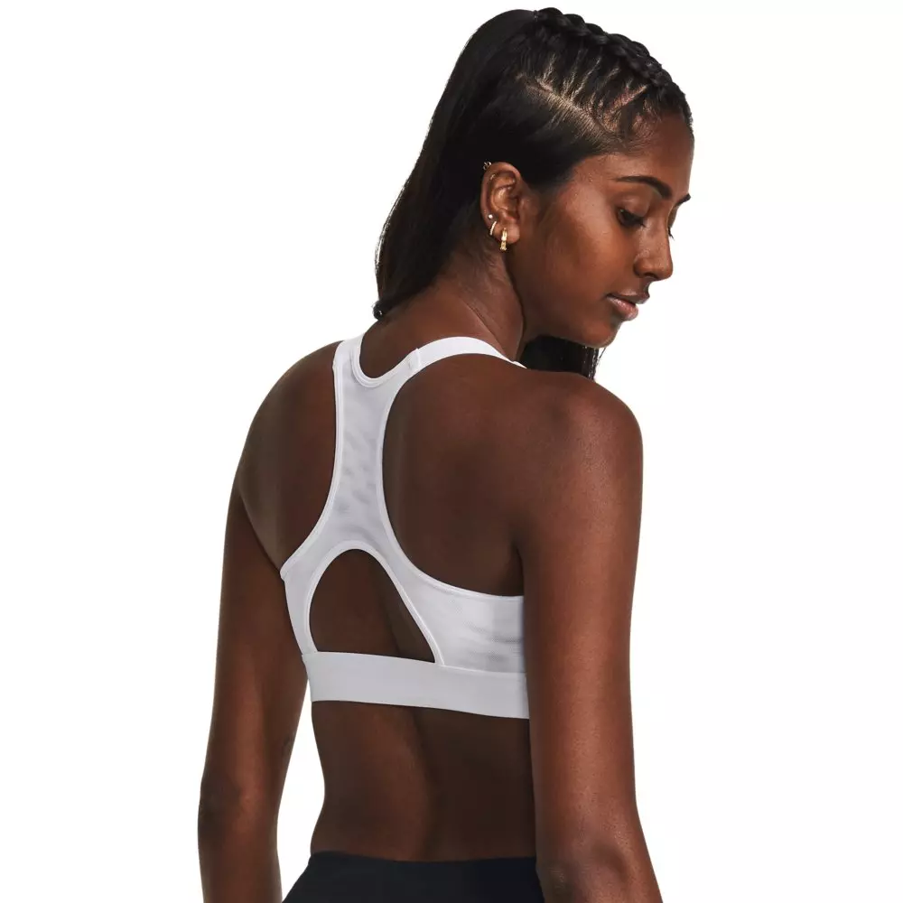 Under Armour Women's HeatGear High Support Sports Bra - WHITE/GREY