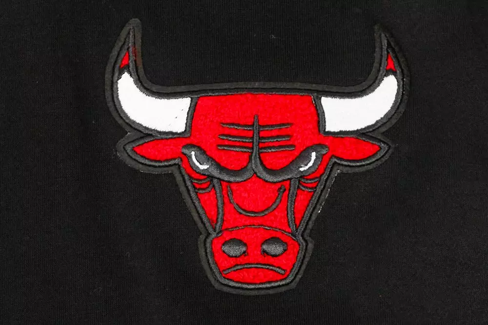 Pro Standard Big Boys' NBA Chicago Bulls Fleece Pullover Hoodie -Black - BLACK