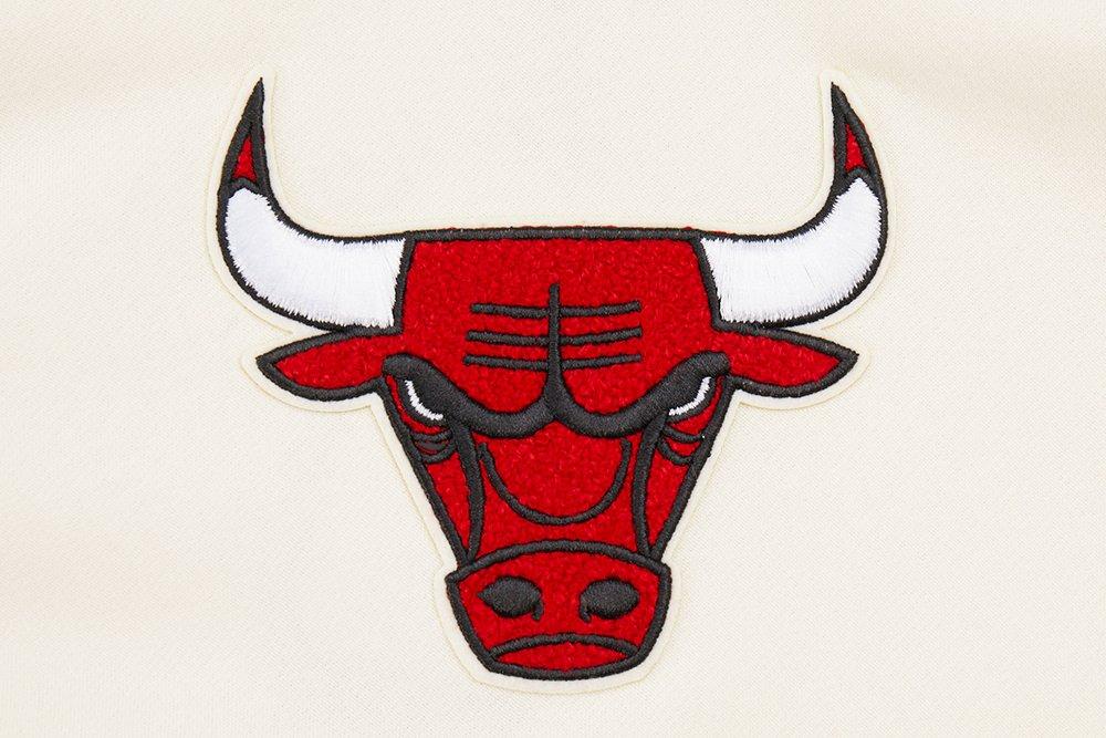 Pro Standard Big Boys​' NBA Chicago Bulls Retro Classic Rib Fleece Po Hoodie - Cream/Red - CREAM/RED Thumbnail View 5