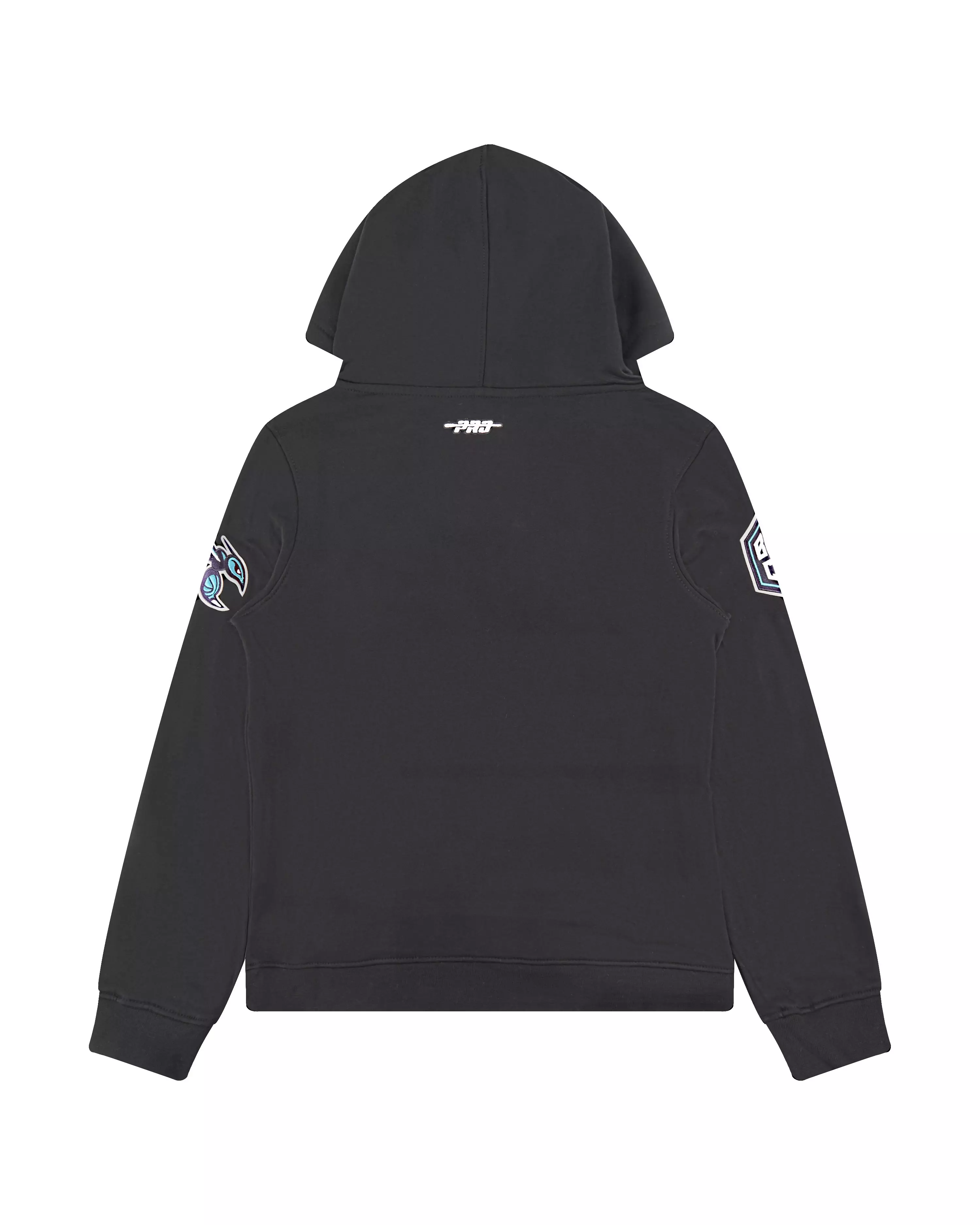 Pro Standard Big Boys​' NBA Charlotte Hornets Classic Fleece PO Hoodie -Black - BLACK