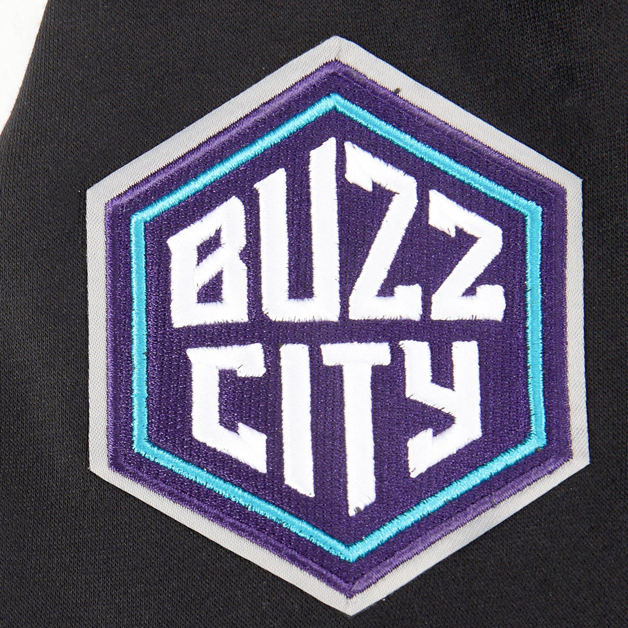 Pro Standard Big Boys​' NBA Charlotte Hornets Classic Fleece PO Hoodie -Black - BLACK Thumbnail View 3