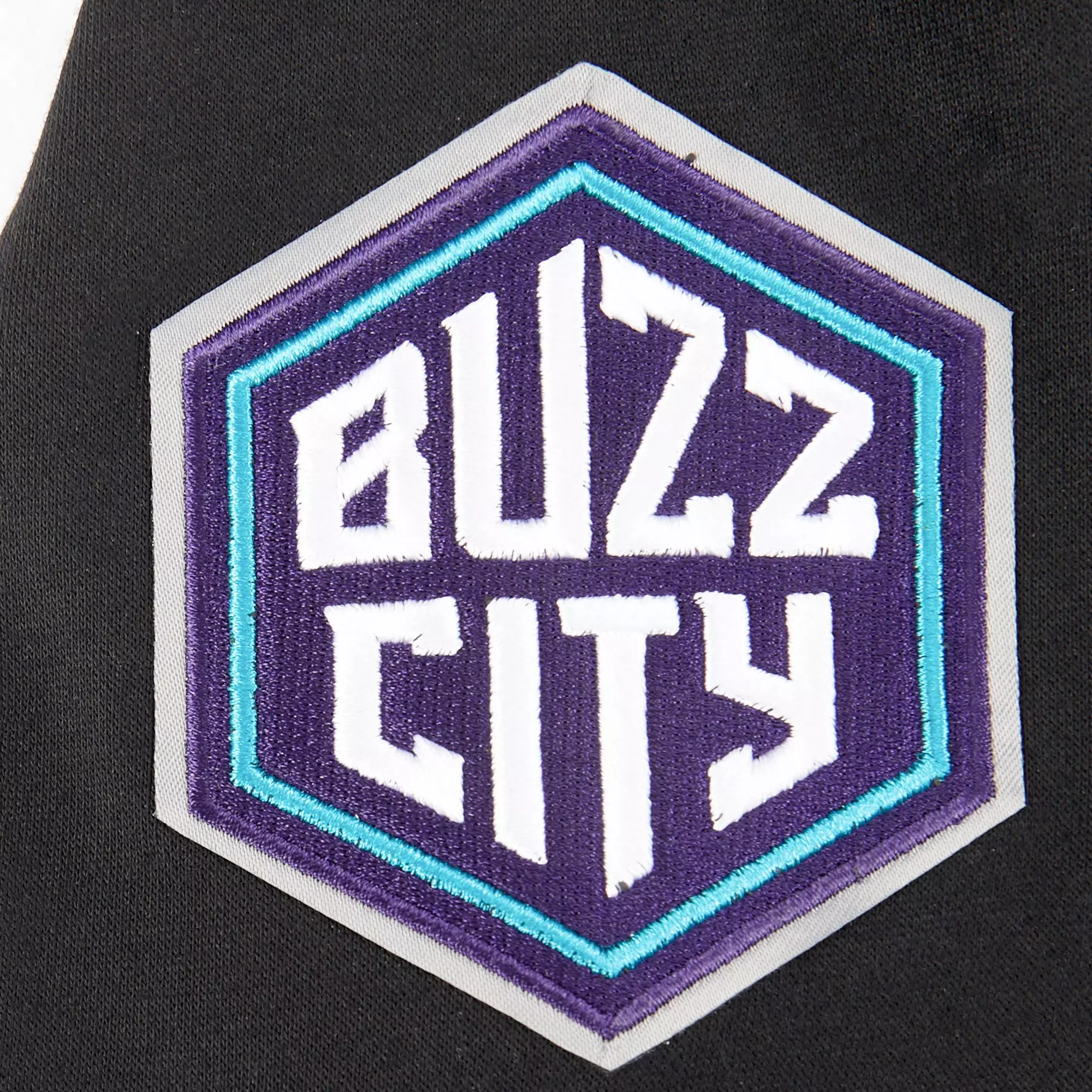 Pro Standard Big Boys​' NBA Charlotte Hornets Classic Fleece PO Hoodie -Black - BLACK