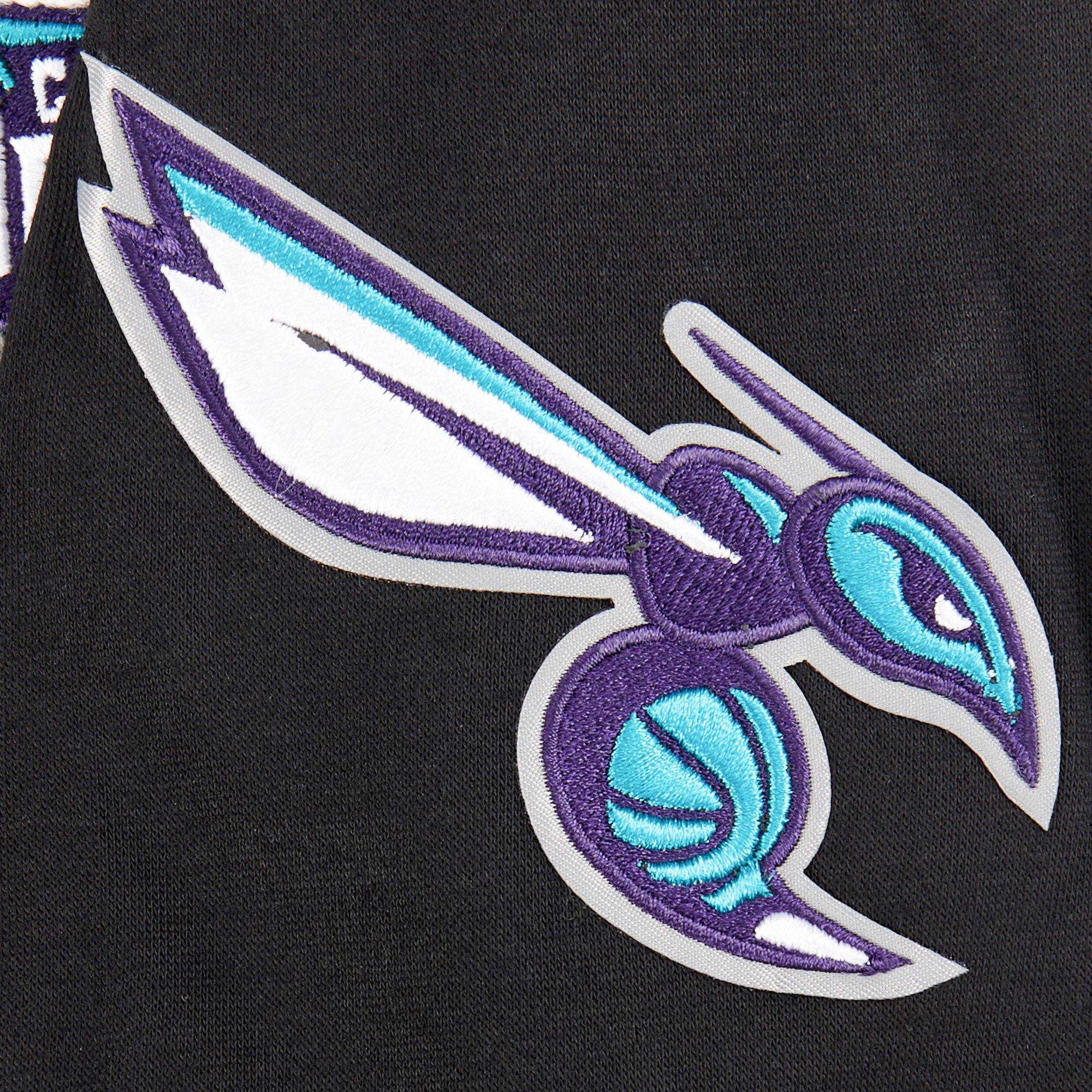 Pro Standard Big Boys​' NBA Charlotte Hornets Classic Fleece PO Hoodie -Black - BLACK Thumbnail View 4