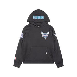 Pro Standard Big Boys​' NBA Charlotte Hornets Classic Fleece PO Hoodie -Black