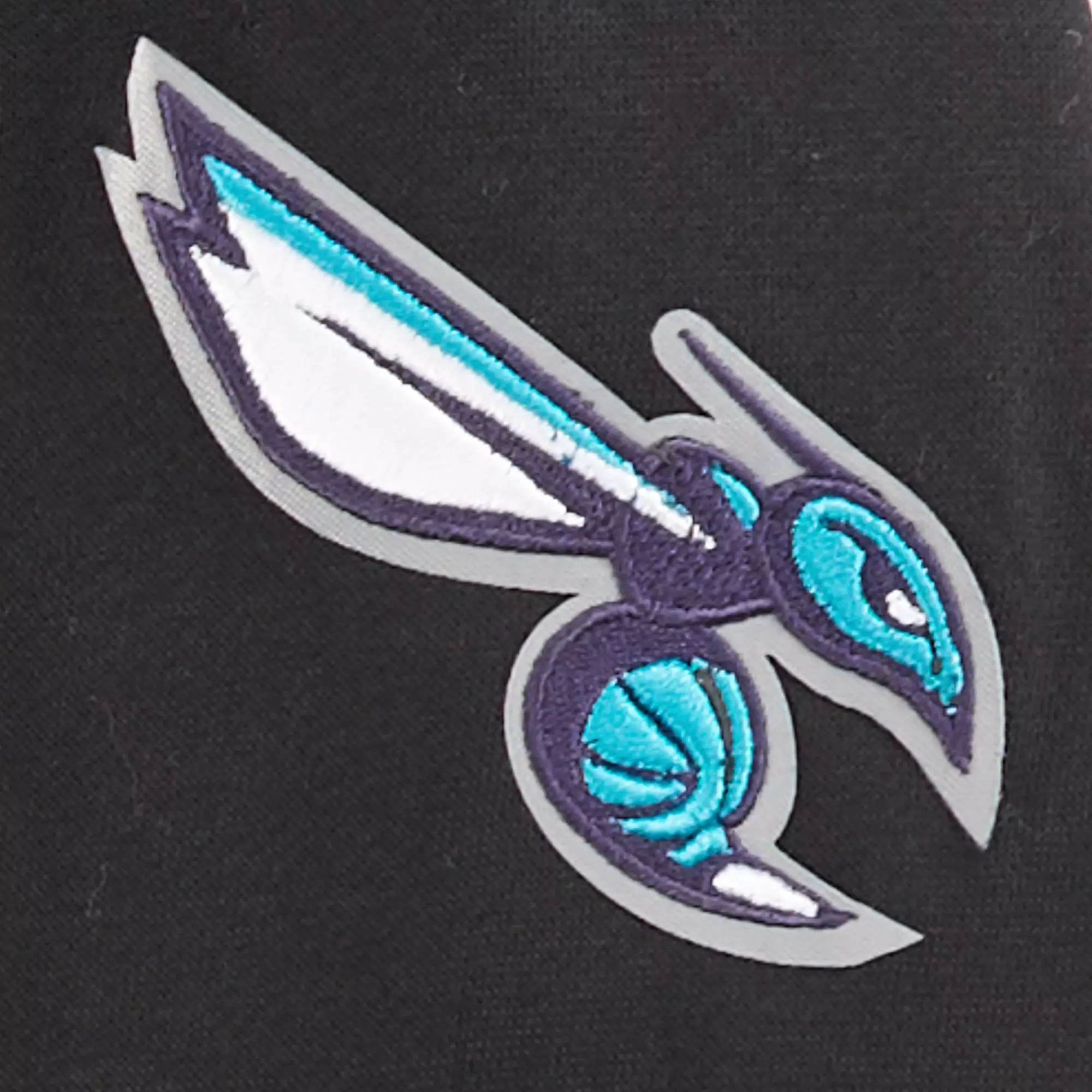 Pro Standard Little Boys​' NBA Charlotte Hornets Classic Fleece PO Hoodie -Black - BLACK