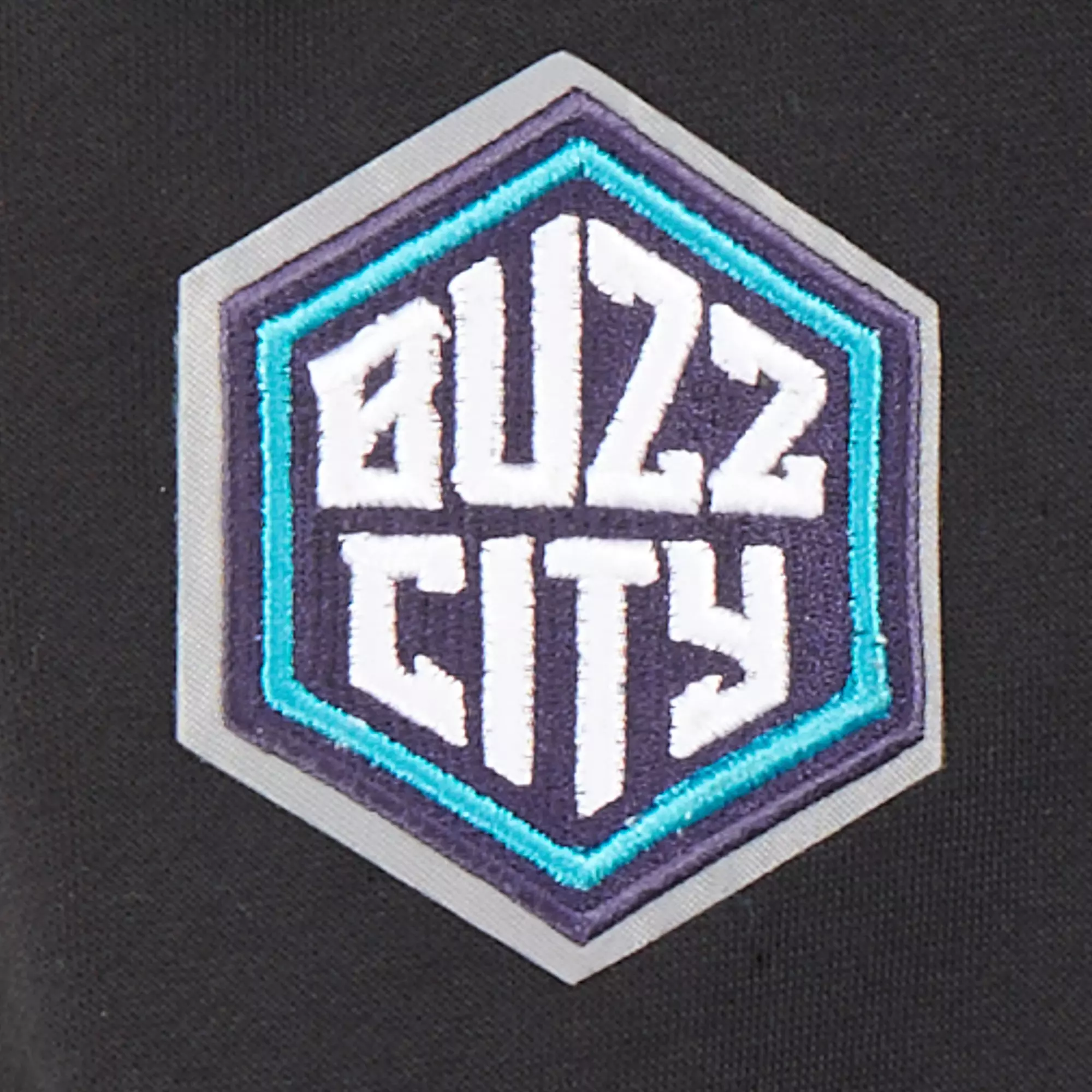 Pro Standard Little Boys​' NBA Charlotte Hornets Classic Fleece PO Hoodie -Black - BLACK