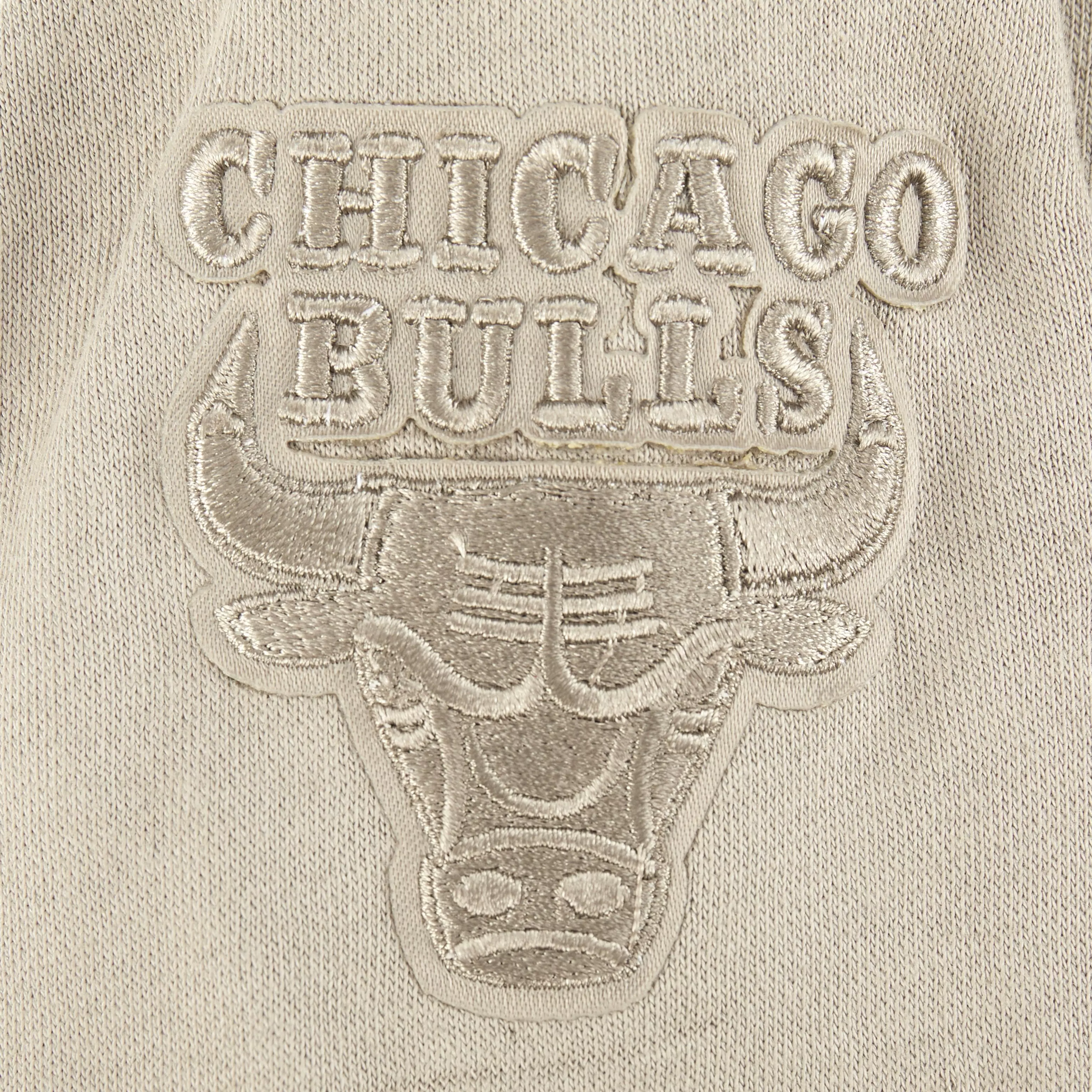 Pro Standard Toddler Boys' NBA Chicago Bulls Neutral Fleece Crewneck -Stone - STONE