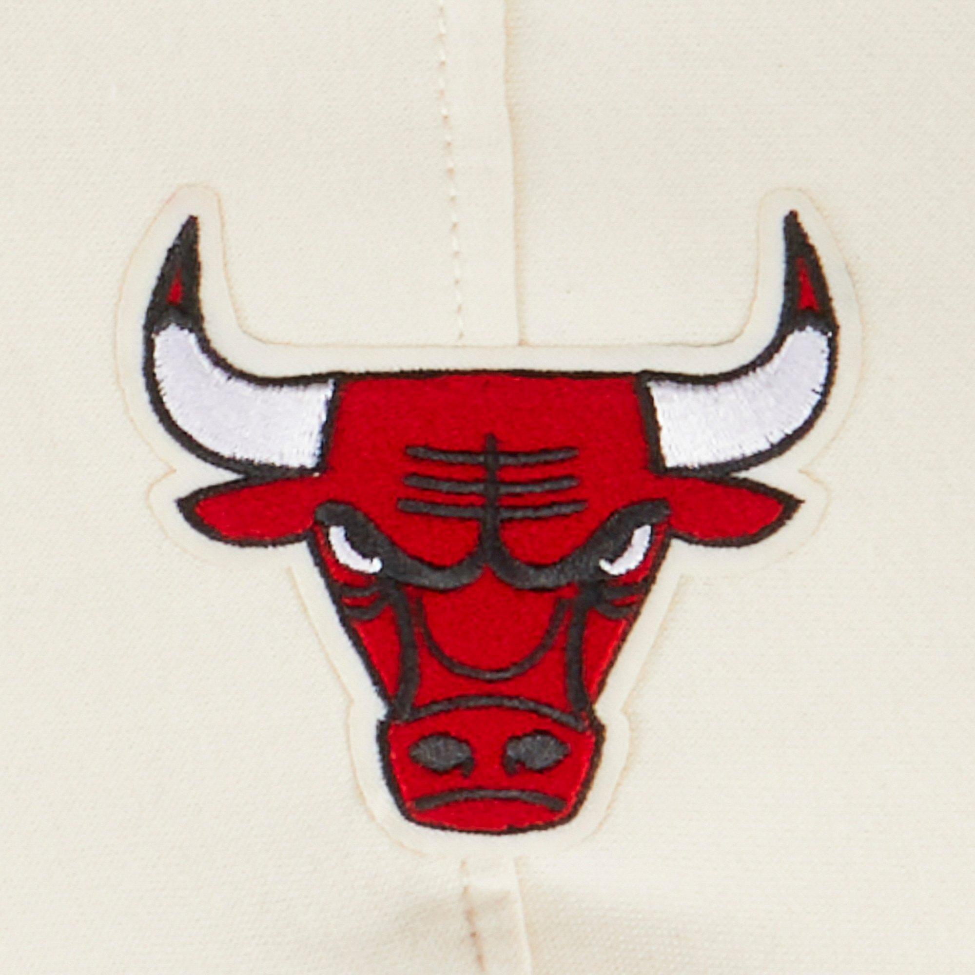 Pro Standard Toddler Boys' NBA Chicago Bulls Retro Classic Rib Fleece PO Hoodie - Cream/Red - CREAM/RED Thumbnail View 3