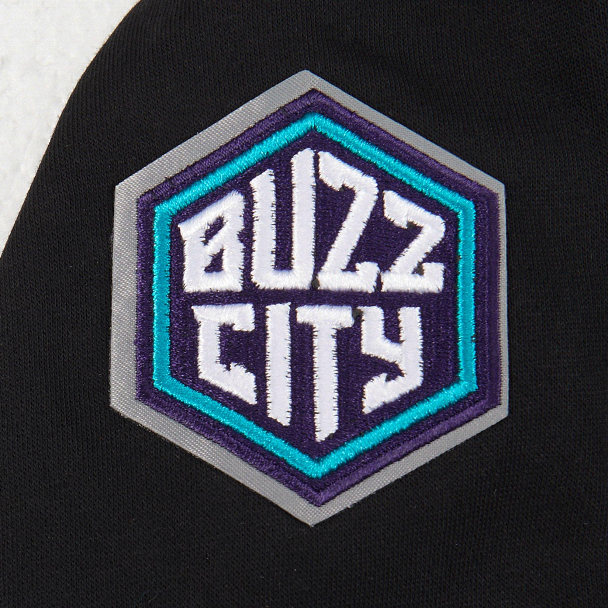 Pro Standard Toddler Boys' NBA Charlotte Hornets Classic Fleece PO Hoodie - Black - BLACK Thumbnail View 4