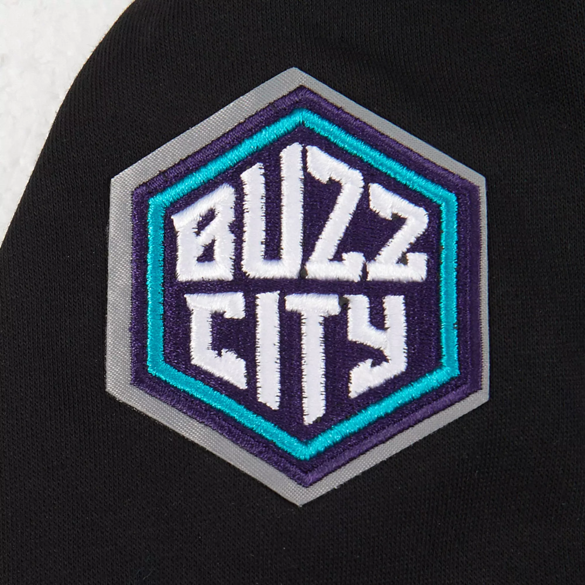 Pro Standard Toddler Boys' NBA Charlotte Hornets Classic Fleece PO Hoodie - Black - BLACK