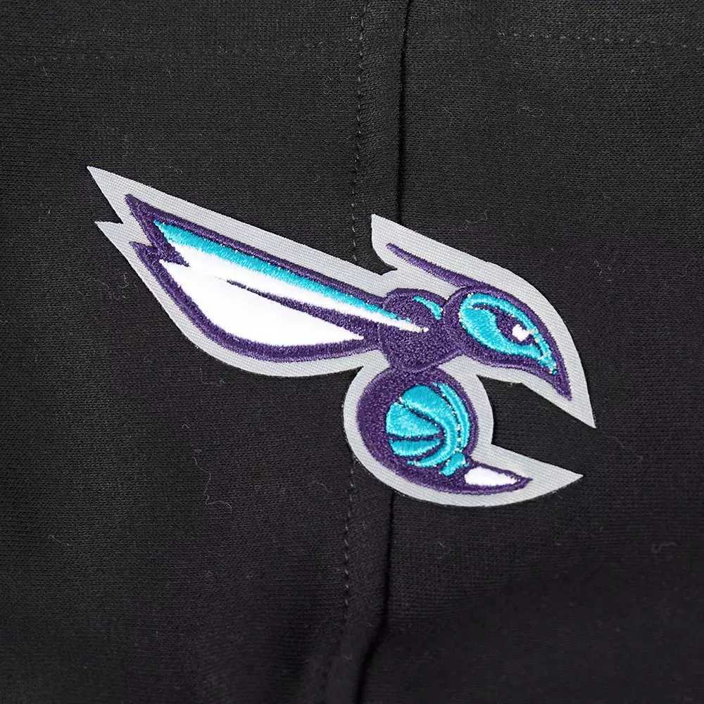 Pro Standard​ NFL Charlotte Hornets Retro Classic​ Toddler Boys' Rib Fleece Pullover Hoodie - Black - BLACK