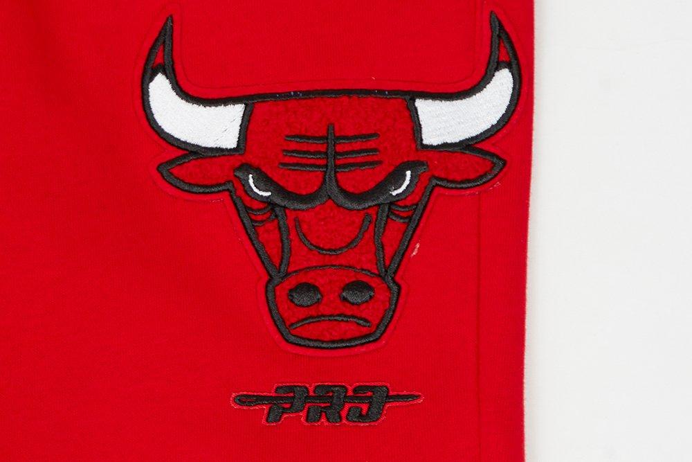 Pro Standard Big Boys' Chicago Bulls Classic Fleece Sweatpants -Red - RED Thumbnail View 3