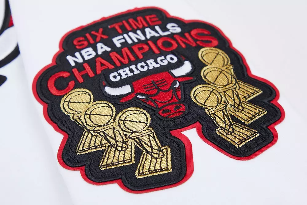 Pro Standard Men's NBA Chicago Bulls Classic Chenille FZ PO Jacket -White - WHITE