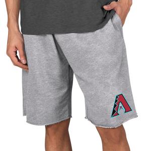 College Concepts Men's Arizona Diamondbacks Mainstream Terry Shorts