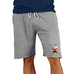 College Concepts Men's Cleveland Browns Mainstream NFL Retro Logo Shorts