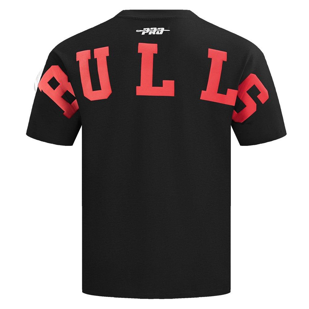 Pro Standard Men's NBA Chicago Bulls Wingspan Cotton Jersey Drop Shoulder Tee - Black - BLACK Thumbnail View 2