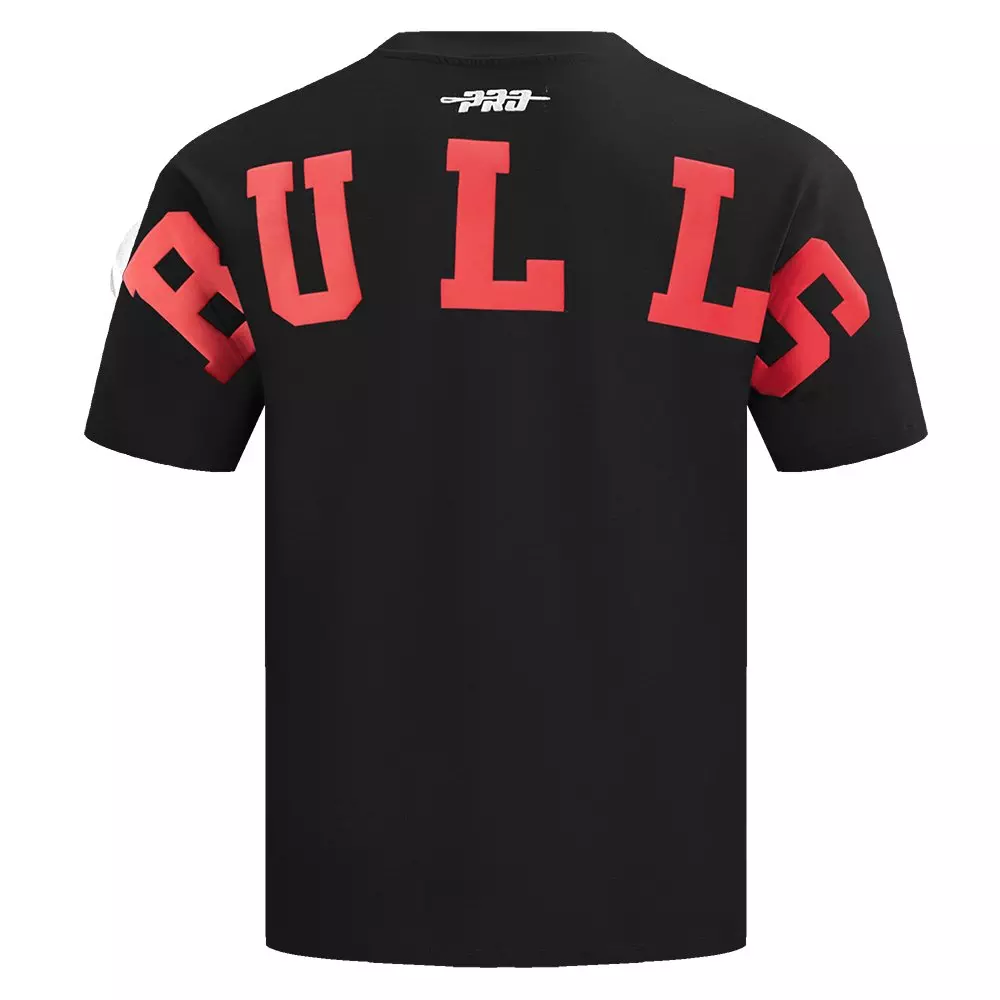 Pro Standard Men's NBA Chicago Bulls Wingspan Cotton Jersey Drop Shoulder Tee -Black - BLACK