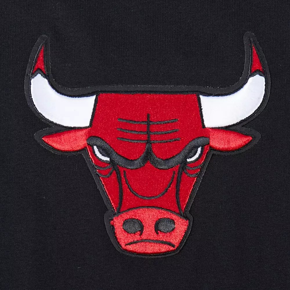 Pro Standard Men's NBA Chicago Bulls Wingspan Cotton Jersey Drop Shoulder Tee - Black - BLACK