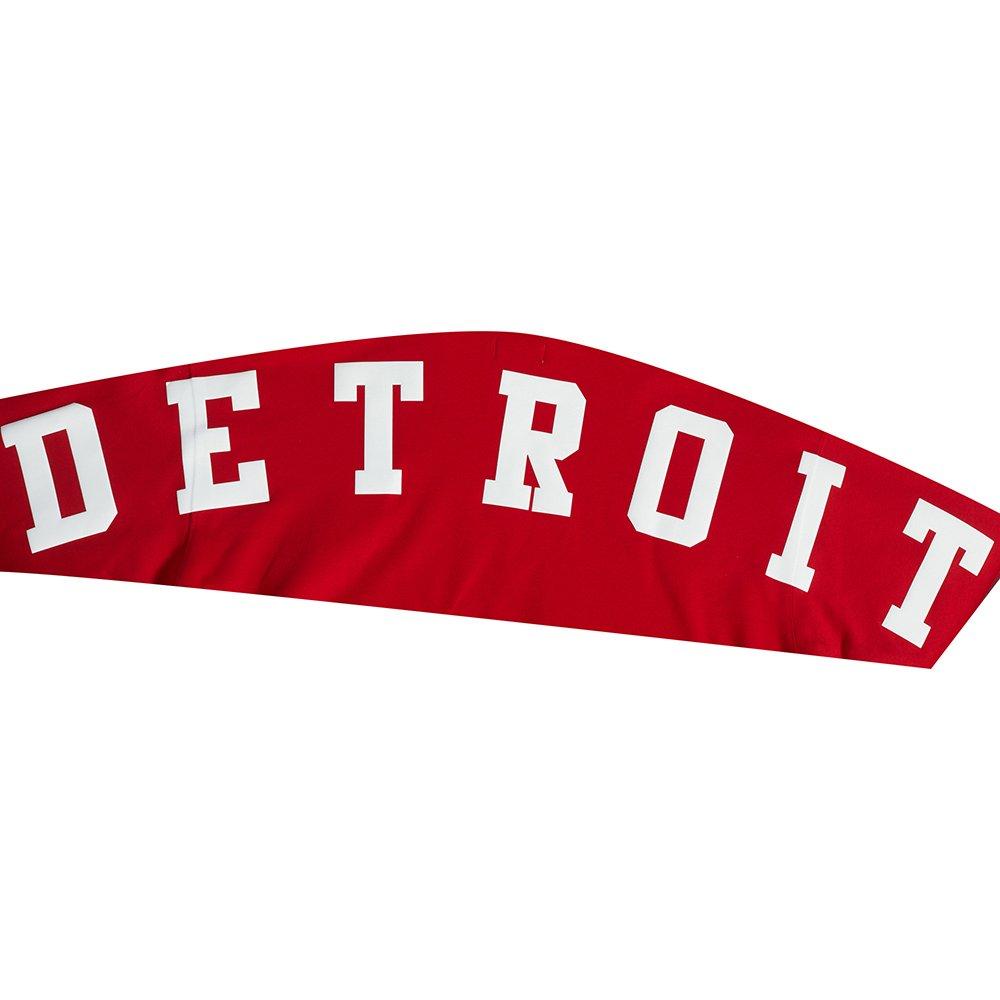 Pro Standard Men's NHL Detroit Red Wings Wingspan Drop Shoulder Fleece Hoodie - RED Thumbnail View 7