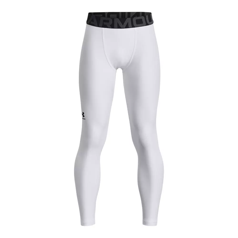 Under Armour - Armour Mesh Panel Leggings