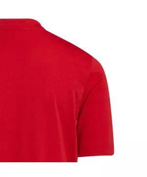 Adidas Men's Entrada 22 Soccer Jersey, Red