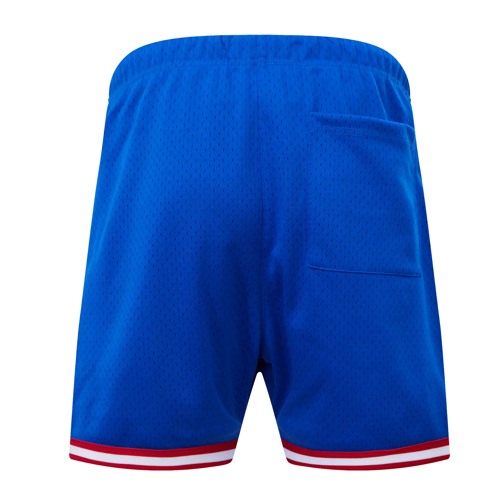 Pro Standard Men's MLB Chicago Cubs Logo Mesh Short - Royal - ROYAL