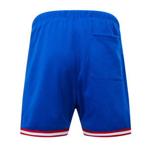 Pro Standard Men's MLB Chicago Cubs Logo Mesh Short - Royal - ROYAL