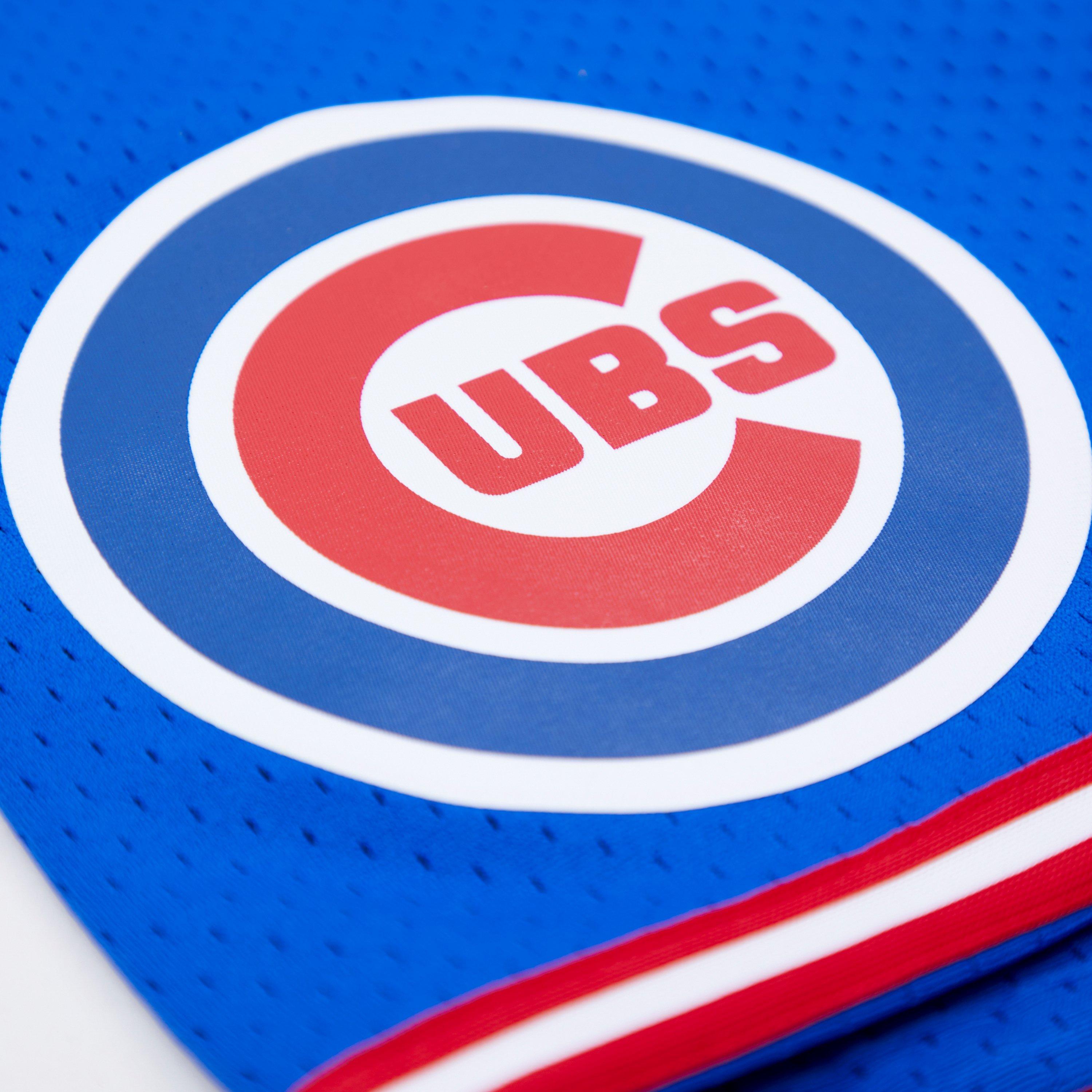 Pro Standard Men's MLB Chicago Cubs Logo Mesh Short - Royal - ROYAL