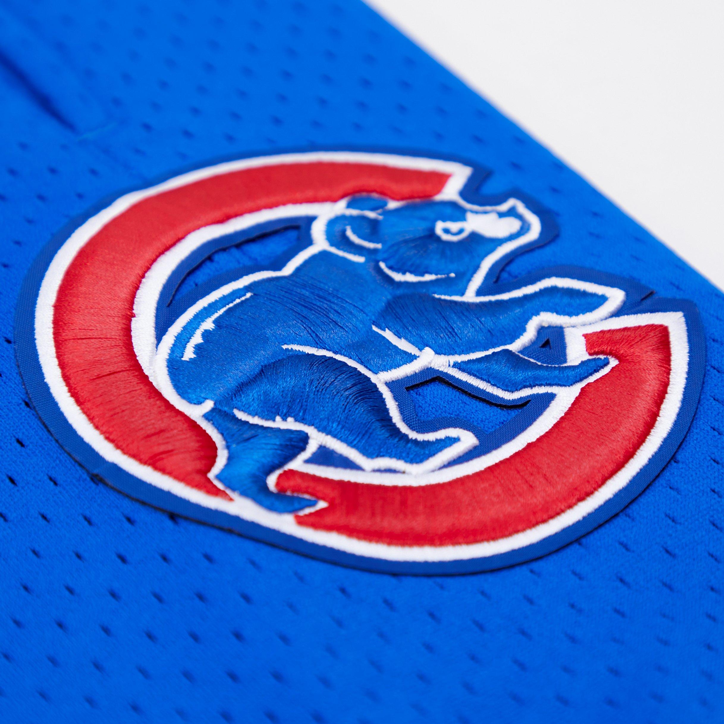 Pro Standard Men's MLB Chicago Cubs Logo Mesh Short - Royal - ROYAL